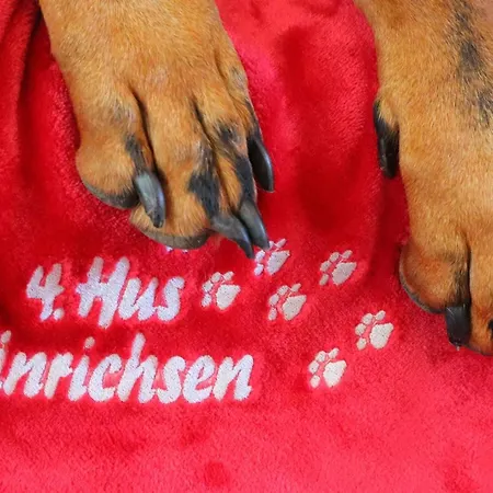 Ferienhaus Hus Hinrichsen Dorumer Neufeld