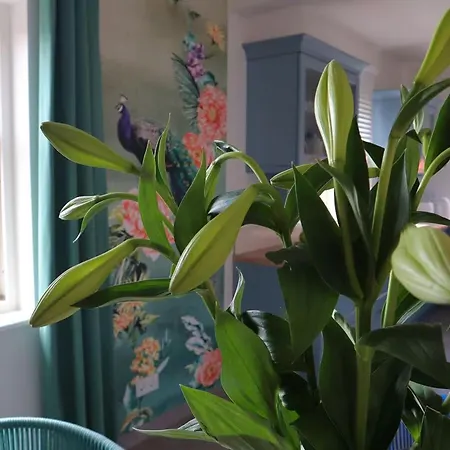 Hus Hinrichsen Ferienhaus Dorumer Neufeld