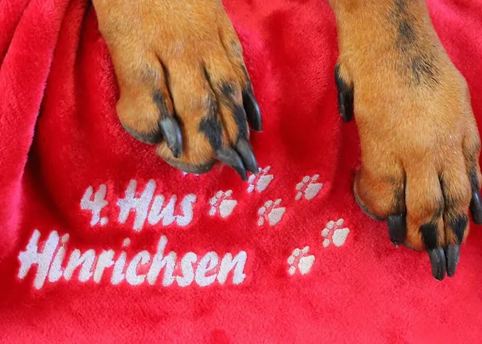 بيت للعطل Hus Hinrichsen دورم نيوفيلد