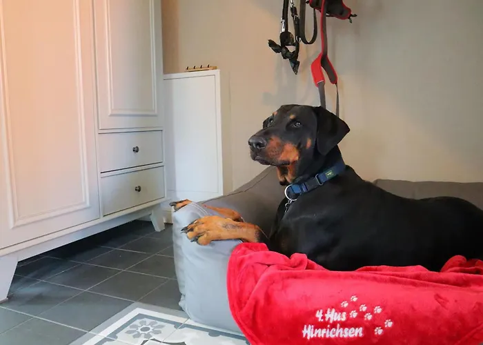 بيت للعطل Hus Hinrichsen دورم نيوفيلد