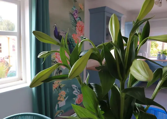 Hus Hinrichsen بيت للعطل دورم نيوفيلد